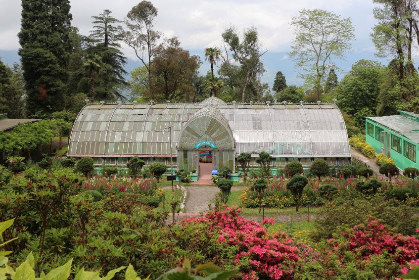 Lloyd's Botanical Garden, Darjeeling, Darjeeling, West Bengal - Vushii.com Lloyd's Botanical Garden, Darjeeling, Darjeeling, West Bengal - Vushii.com